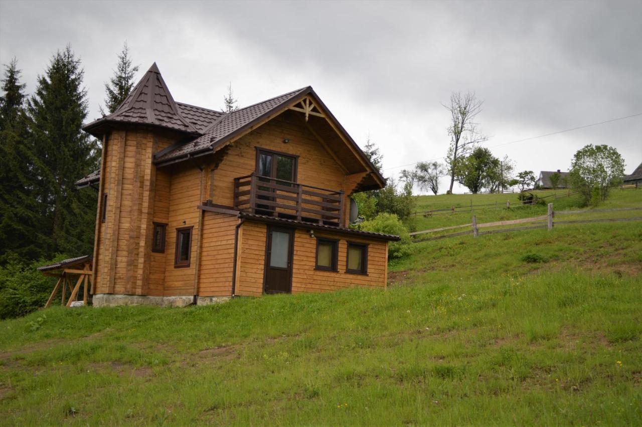 Пагорб Їжака / Hedgehog Hill Vila Yablunytsya Exterior foto