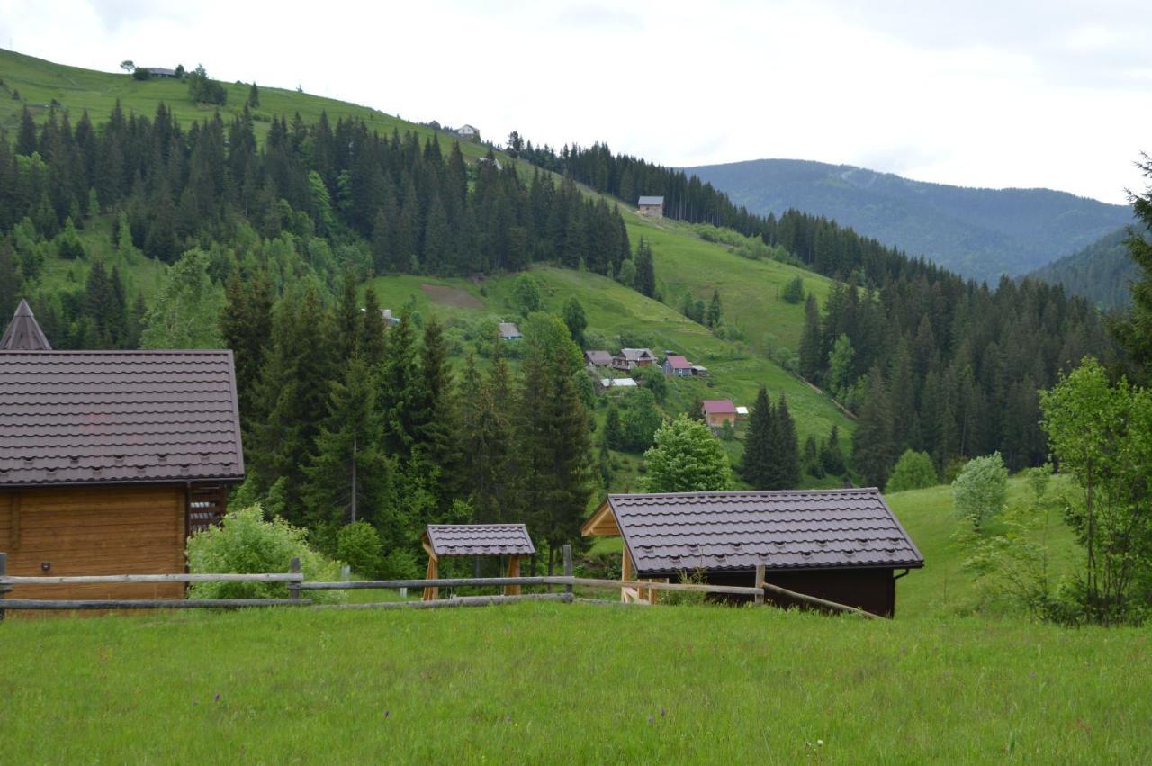 Пагорб Їжака / Hedgehog Hill Vila Yablunytsya Exterior foto