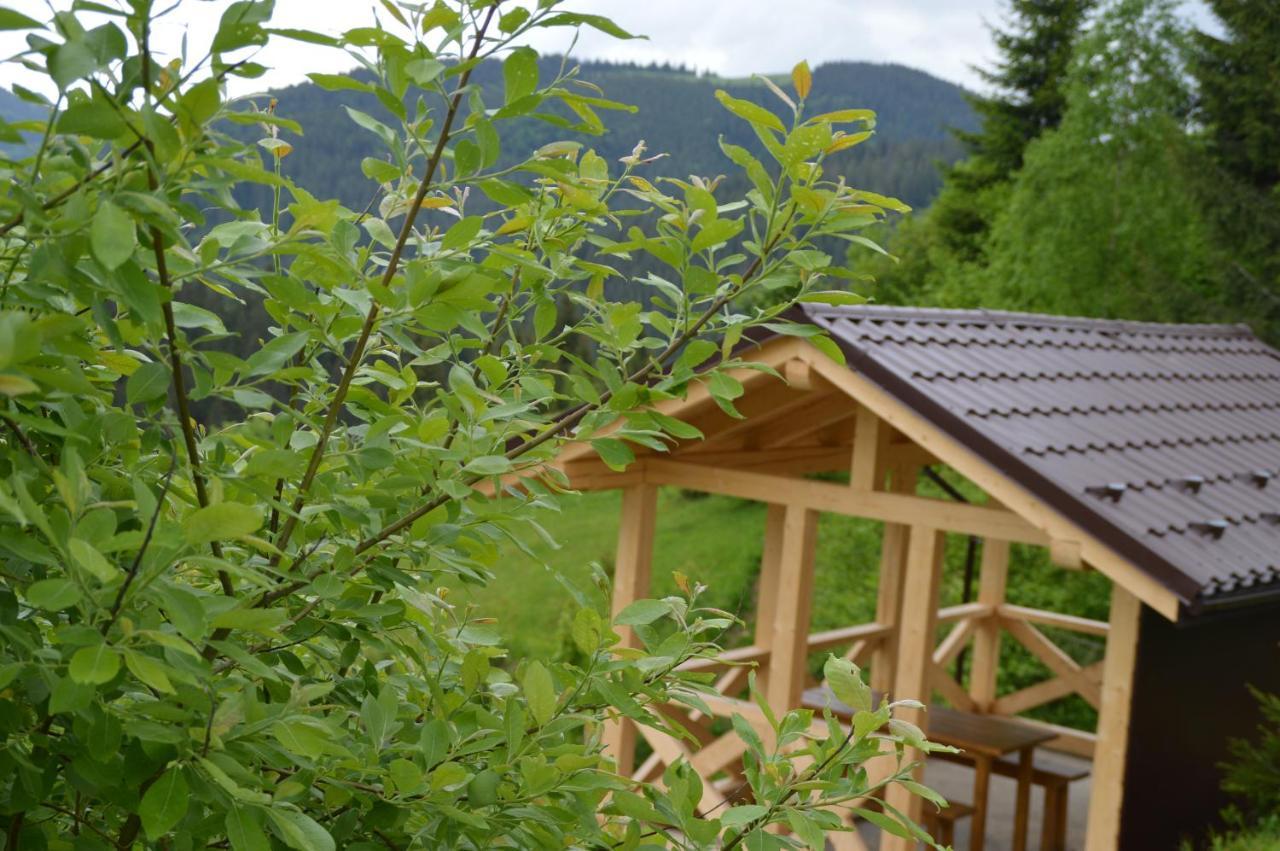 Пагорб Їжака / Hedgehog Hill Vila Yablunytsya Exterior foto
